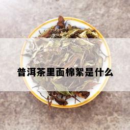 普洱茶里面棉絮是什么