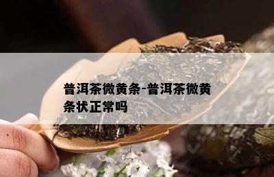 普洱茶微黄条-普洱茶微黄条状正常吗