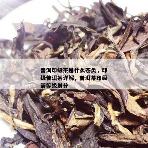 普洱印级茶是什么茶类，印级普洱茶详解，普洱茶印级茶等级划分