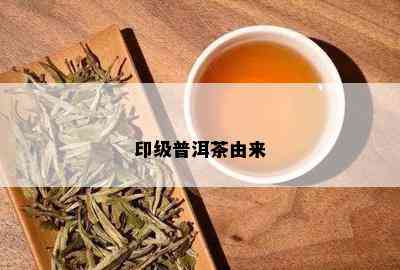 印级普洱茶由来