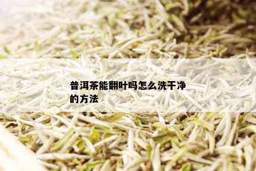 普洱茶能翻叶吗怎么洗干净的方法