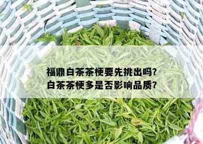 福鼎白茶茶梗要先挑出吗？白茶茶梗多是否影响品质？