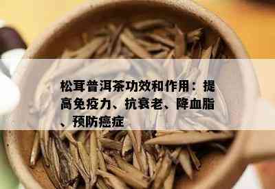 松茸普洱茶功效和作用：提高免疫力、抗衰老、降血脂、预防癌症