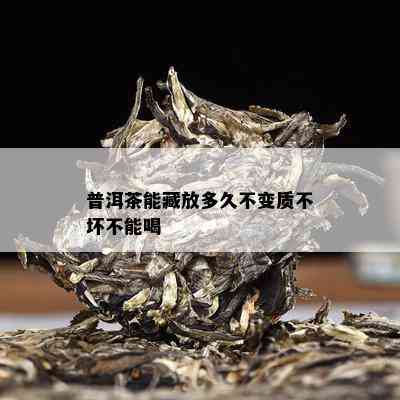 普洱茶能藏放多久不变质不坏不能喝