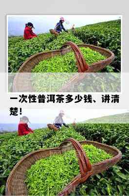 一次性普洱茶多少钱、讲清楚！