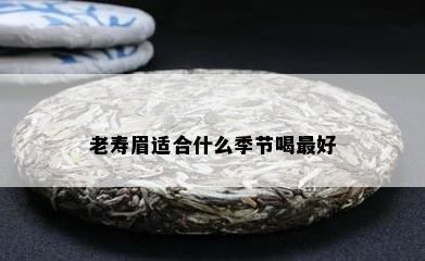 老寿眉适合什么季节喝更好