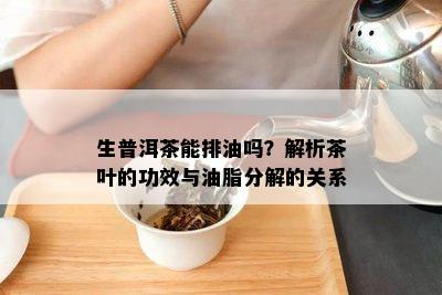 生普洱茶能排油吗？解析茶叶的功效与油脂分解的关系