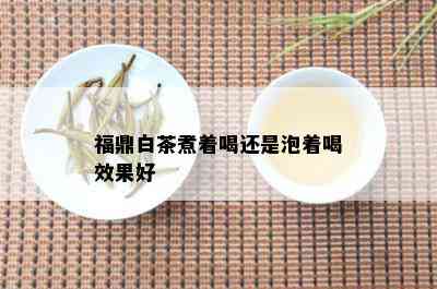 福鼎白茶煮着喝还是泡着喝效果好