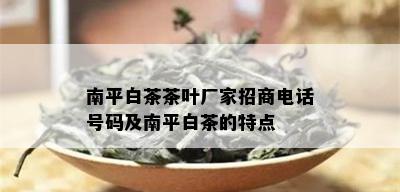 南平白茶茶叶厂家招商电话号码及南平白茶的特点