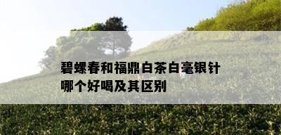 碧螺春和福鼎白茶白毫银针哪个好喝及其区别