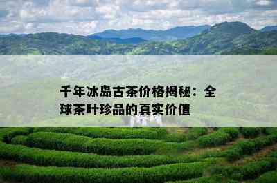 千年冰岛古茶价格揭秘：全球茶叶珍品的真实价值