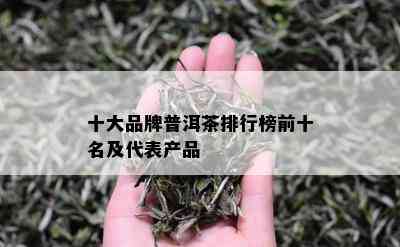 十大品牌普洱茶排行榜前十名及代表产品