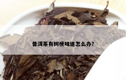 普洱茶有树梗味道怎么办？