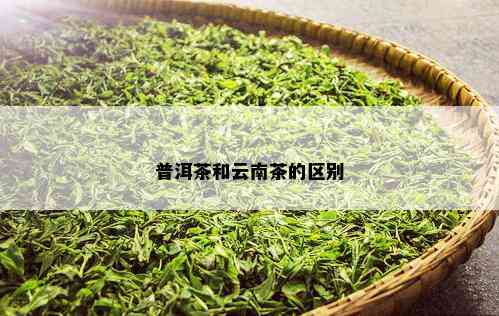 普洱茶和云南茶的区别