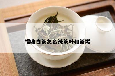 福鼎白茶怎么洗茶叶和茶垢