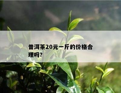 普洱茶20元一斤的价格合理吗？