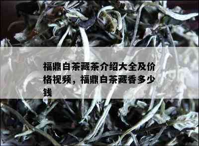 福鼎白茶藏茶介绍大全及价格视频，福鼎白茶藏香多少钱