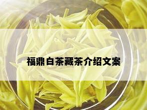 福鼎白茶藏茶介绍文案