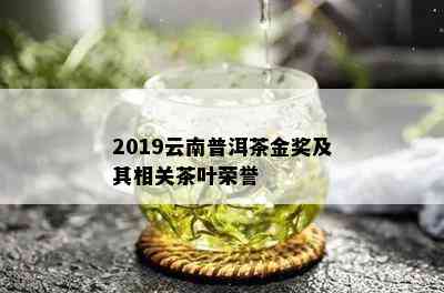 2019云南普洱茶金奖及其相关茶叶荣誉