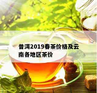 普洱2019春茶价格及云南各地区茶价