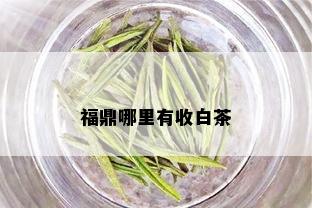 福鼎哪里有收白茶