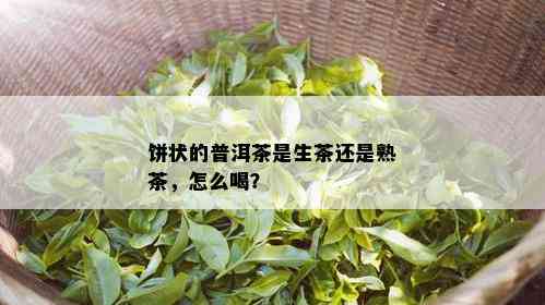 饼状的普洱茶是生茶还是熟茶，怎么喝？