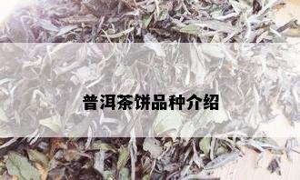 普洱茶饼品种介绍