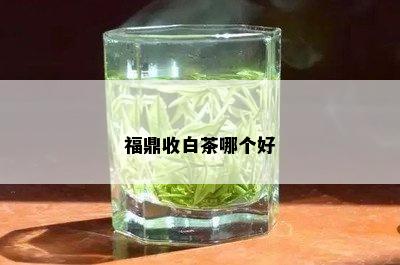 福鼎收白茶哪个好