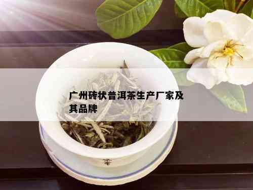 广州砖状普洱茶生产厂家及其品牌