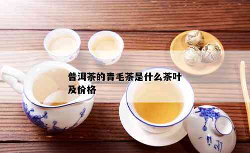 普洱茶的青毛茶是什么茶叶及价格