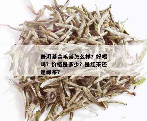 普洱茶青毛茶怎么样？好喝吗？价格是多少？是红茶还是绿茶？