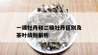 一级牡丹和二级牡丹区别及茶叶级别解析