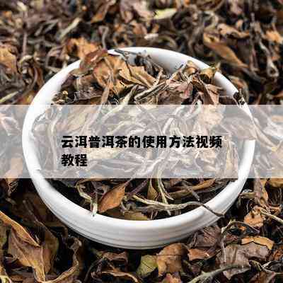 云洱普洱茶的使用方法视频教程