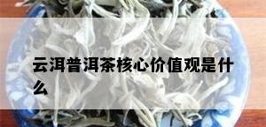 云洱普洱茶核心价值观是什么