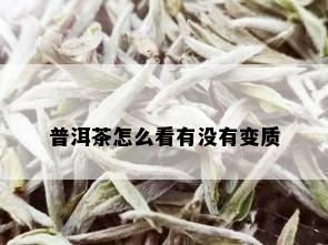 普洱茶怎么看有没有变质