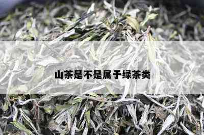 山茶是不是属于绿茶类