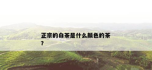 正宗的白茶是什么颜色的茶？