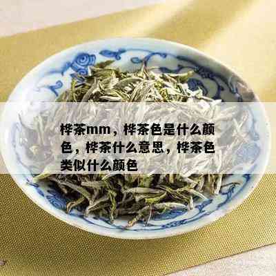 桦茶mm，桦茶色是什么颜色，桦茶什么意思，桦茶色类似什么颜色