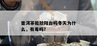 普洱茶能放阳台吗冬天为什么，有吗？