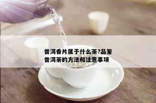 普洱香片属于什么茶?品鉴普洱茶的方法和注意事项