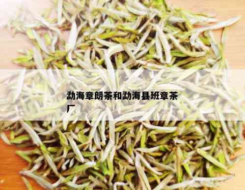 勐海章朗茶和勐海县班章茶厂