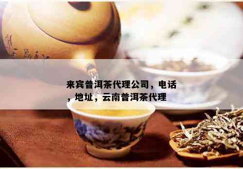 来宾普洱茶代理公司，电话，地址，云南普洱茶代理