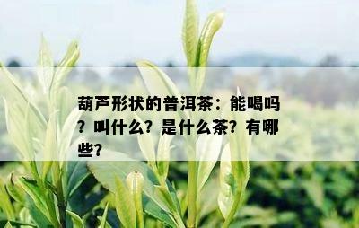 葫芦形状的普洱茶：能喝吗？叫什么？是什么茶？有哪些？