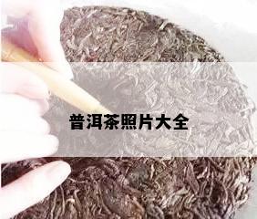 普洱茶照片大全