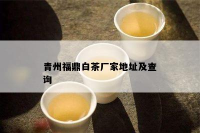 青州福鼎白茶厂家地址及查询