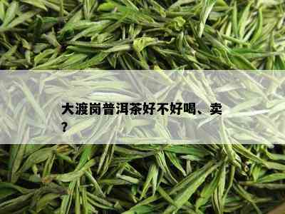 大渡岗普洱茶好不好喝、卖？