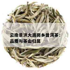 云南景洪大渡岗乡普洱茶：品质与茶山归属