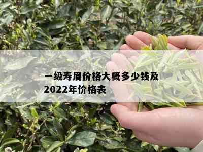 一级寿眉价格大概多少钱及2022年价格表