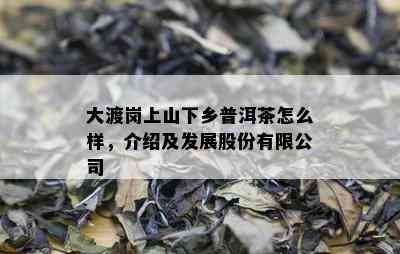 大渡岗上山下乡普洱茶怎么样，介绍及发展股份有限公司