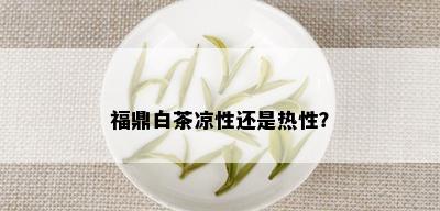 福鼎白茶凉性还是热性？